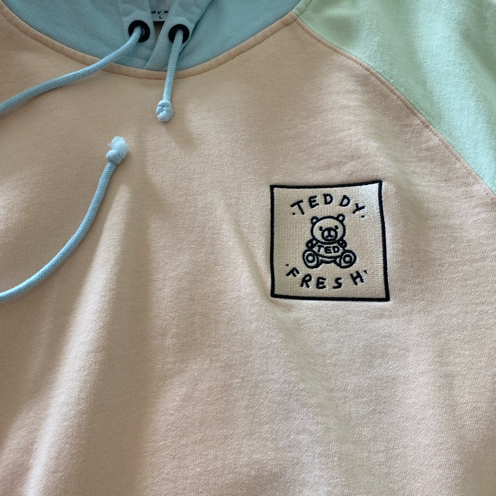 Teddy Fresh Color Block Hooded Sweatshirt